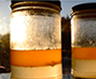 Leonardo DaVinci's methods of making walnut oil